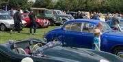 Classic cars on display at the Rotary Epping Classic Car show at Stonards Hill