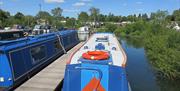 Roydon Marina Village narrow boats