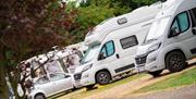 Caravans parked at the Lee Valley Campsite in Sewardstone