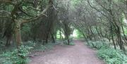 Path to Bolt Cellar Lane