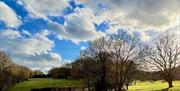 Theydon Bois Golf Club fairways