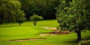 Theydon Bois Golf Club green and bunkers