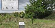 The Oak Tree lined path around the edge of the Woodland linking with footpaths to Abridge.