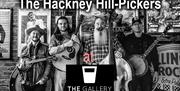 The Hackney Hill-Pickers performing at The Gallery, Sawbo