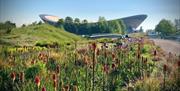 Lee Valley Regional Park - Country / Royal Park in Enfield, Epping