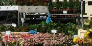 Plants at Waltham Abbey Market