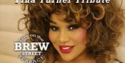 Tina Turner Tribute live on The Terrace at the White Water Centre