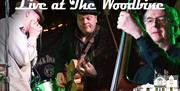The Hill Street Blues Band Live at the Woodbine. Guaranteed to make you dance your socks off