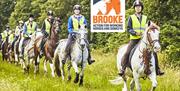 Horse riding in Epping Forest