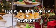 Festive Afternoon Tea at Down Hall