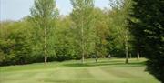 North Weald Par 3 Golf Course fairway and golfers