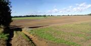 The Essex Way between Coopersale and Toot Hill includes areas emerging from woodland to cross between fields that give spectacular "open sky" views.