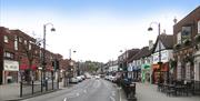 Loughton High Street with Epping Forest beyond