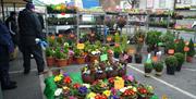 Flowers make a colourful splash at Epping Market.