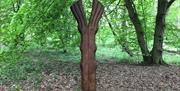 Roughtallys Wood sculpture