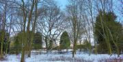 Winter in Roughtallys Wood, North Weald