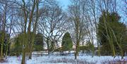 Roughtallys Wood, North Weald, in the snow