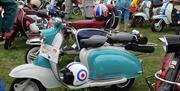 Scooters attending the 2018 Sundaybest Scooter Fest