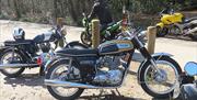 Classic Triumphs at the Original Tea Hut High Beach.