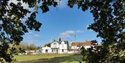 The woodbine viewed from Epping Forest