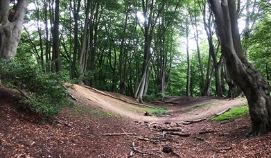 The, now eroded, hill fort banks at Ambresbury.