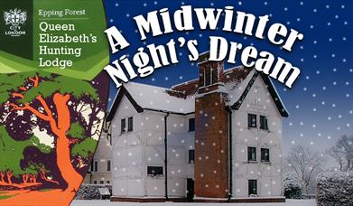 A Midwinter Night's Dream Christmas Installation