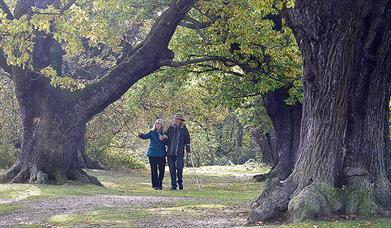 Lee Valley Glamping, Sewardstone - Glamping in Chingford, Epping - Visit  Essex