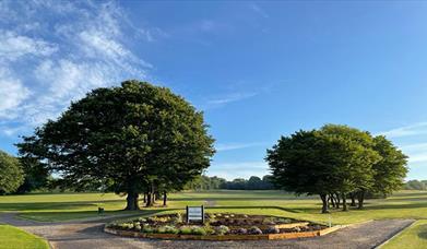 Hainault Golf Club tee box and trees