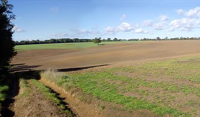 The Essex Way between Coopersale and Toot Hill includes areas emerging from woodland to cross between fields that give spectacular "open sky" views.