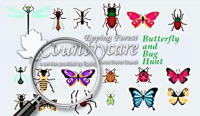 Countrycare Butterfly and Bug Hunt at Roding Valley Meadows