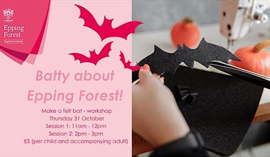 Batty About Epping Forest. Make a decorative felt bat children's workshop.