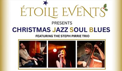 Etoile Events presents Christmas Jazz Soul Blues evening at Thornwood Village Hall