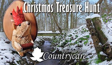 Countrycare Children's Christmas Treasure Hunt at Roughtallys Wood in North Weald on Monday 23rd December 2024