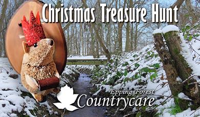Countrycare Christmas Treasure Hunt in Roughtallys Wood. North Weald