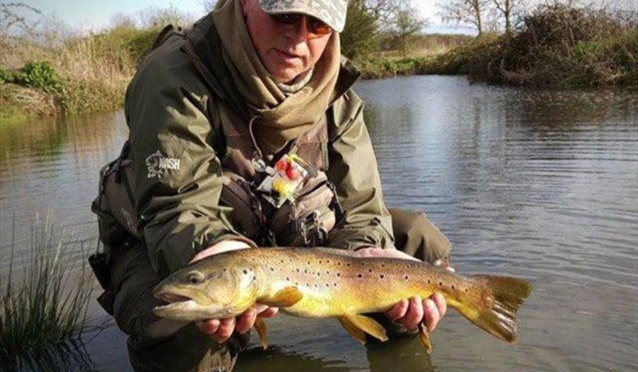 Trout at Thornwood Springs Fishery, Epping.