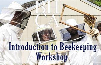 Introduction to Beekeeping Workshop
