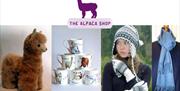 The Alpaca Shop at Butler's Farm and online.