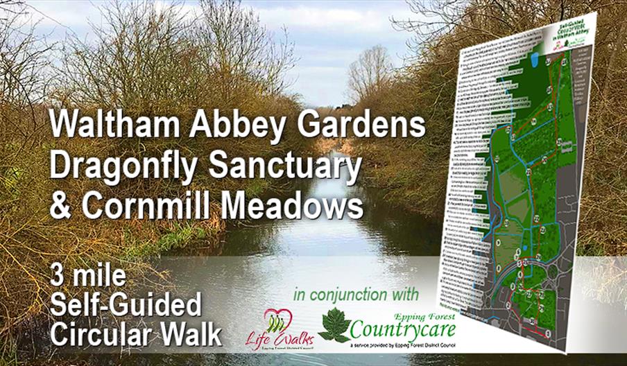 Waltham Abbey Circular Walk view of Cornmill River