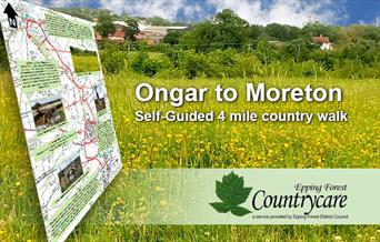 Ongar to Moreton self guided walk.