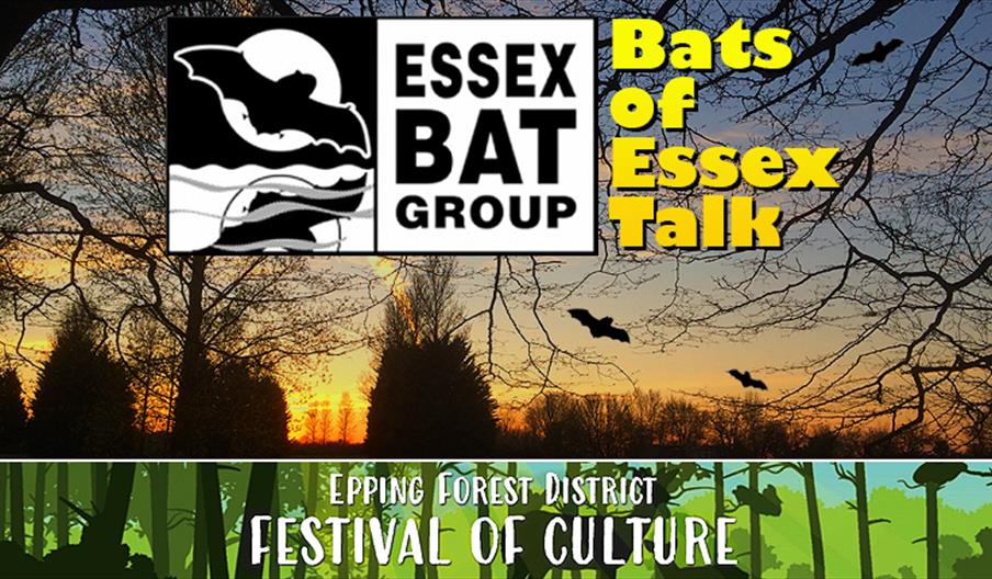 Bats of Essex Talk