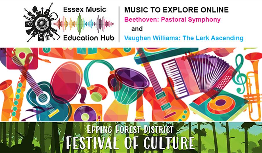 Essex Music Education Hub, Music to explore online