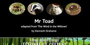 Loughton Amateur Dramatic Society present Mr Toad.