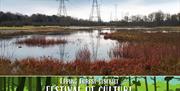 Lee Valley Park wetlands with electricity pylons