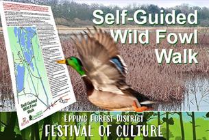 Self-Guided Wild Fowl Walk