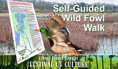 Self-Guided Wild Fowl Walk