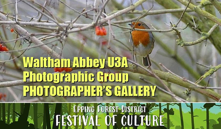 Waltham Abbey U3A Photograhpic Group - Photographer's Gallery