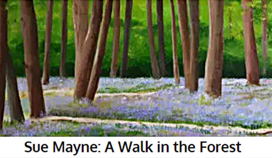 A Walk in the Forest, an exhibition of paintings by Sue Mayne.