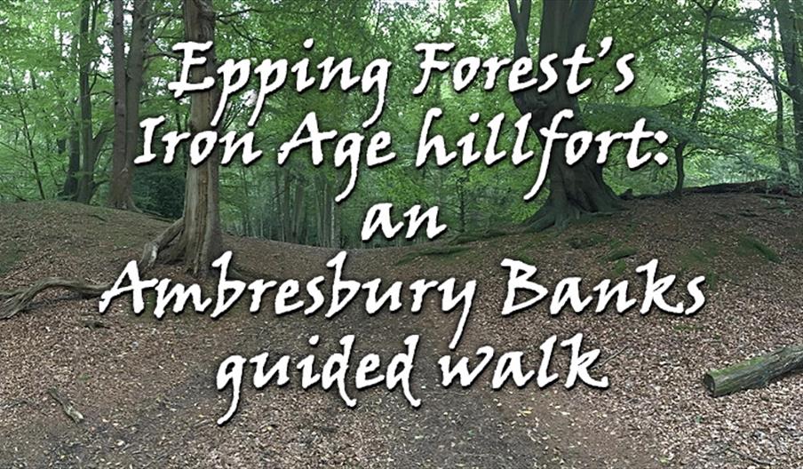 Epping Forest’s Iron Age hillfort: an Ambresbury Banks guided walk