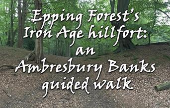 Epping Forest’s Iron Age hillfort: an Ambresbury Banks guided walk