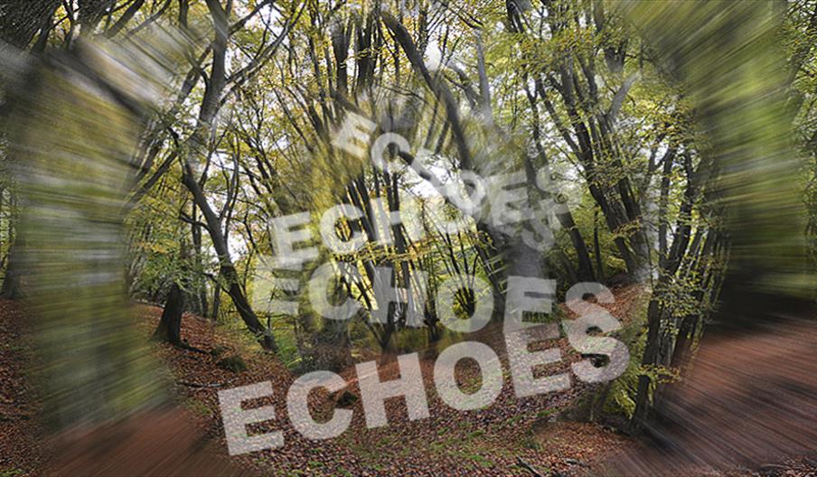 Echoes - a musical experience in Epping Forest
